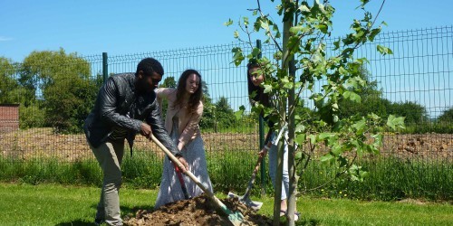 Plantation de l’arbre de promo 2014