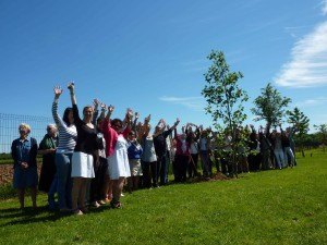 arbre promo 2014 (3)