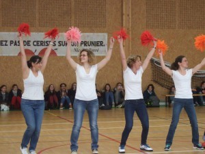 match basket profs eleves2015 (8)