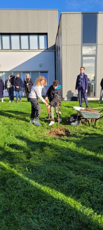 Plantation de l’arbre de promo des 2nde